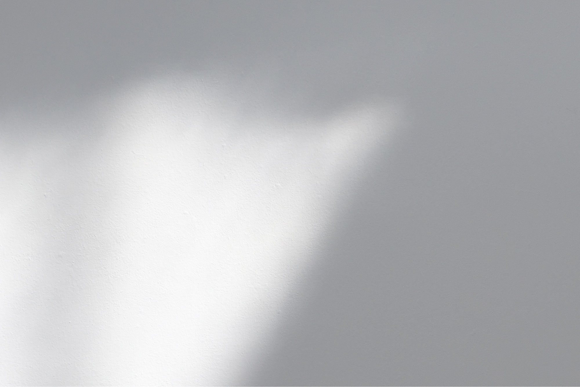 Vulputate Commodo Ligula